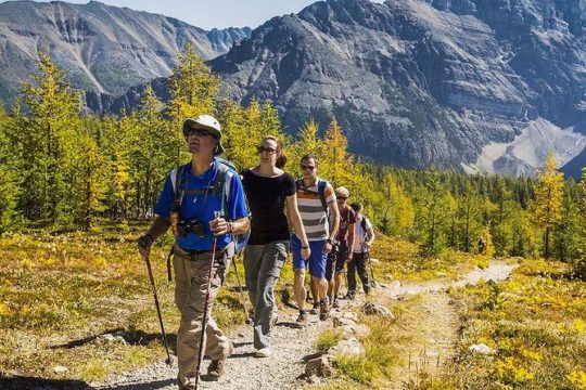 Banff National Park Guided Hike with Lunch