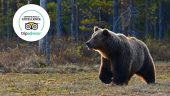 Fulfilling nature tour with Charlie! 