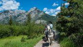 Lovely horse ride in stunning countryside