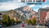 Great foodie tour