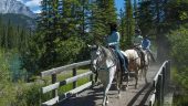 A wonderful ride