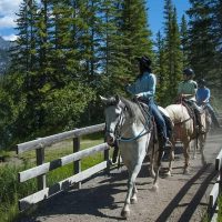 Horseback Riding