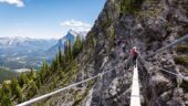 An Unforgettable Thrill — Worth Every Second!