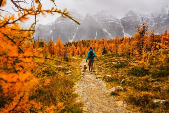 Full-Day Larch hike, Departure from Banff