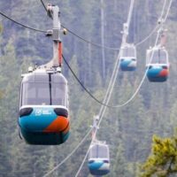 Trolley Tours