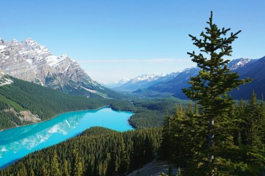 Guided Banff National Park Tour by Coach and Minivan