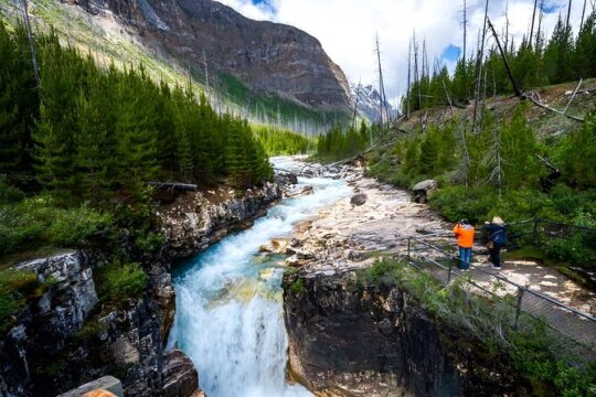 Kootenay National Park Small Group Half Day Tour