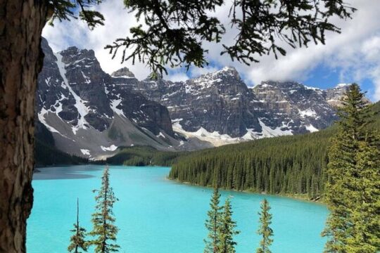 Shared Tour: Emerald Lake Lake Louise & Moraine Lake from Calgary
