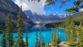 Excellent Lake Louise to Banff tour guide