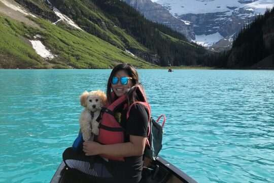 Discover Banff National Park with Dog Friendly Exclusive Tour