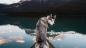 Great way to see Banff Highlights