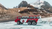 Icefield explorer tour