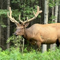 Photography Tours